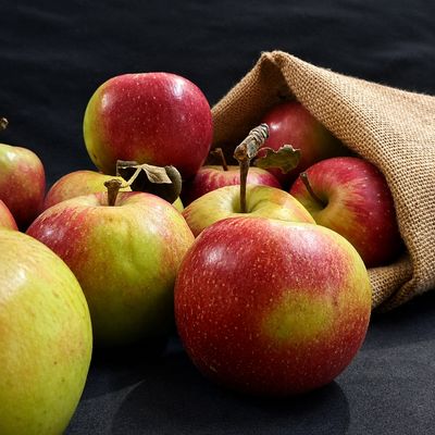 Fresh organic Red Gold apples with ruby-red and green skin, crisp juicy flesh, balanced sweetness and a refreshing bite, too.