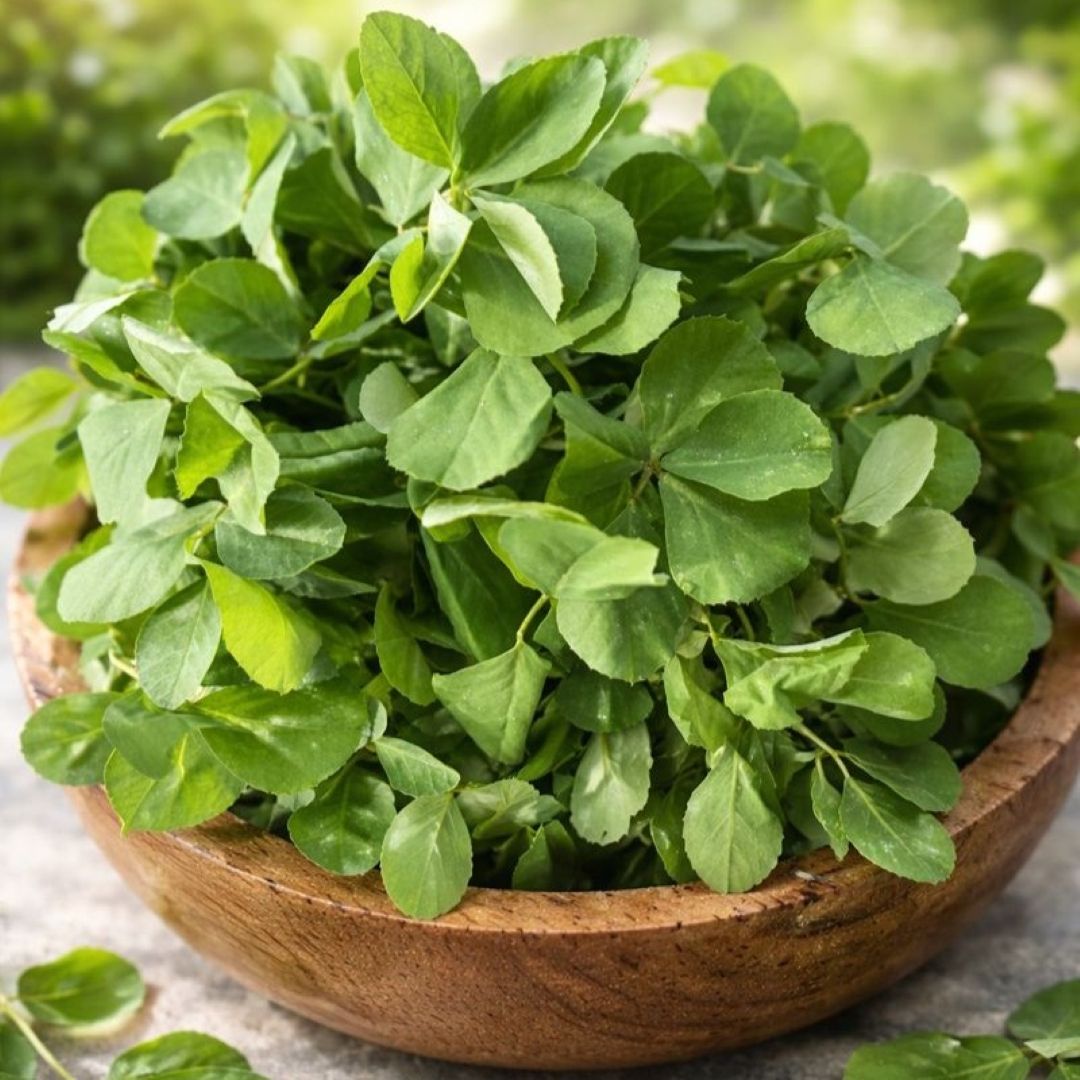 Fresh Organic Methi Online Home Delivery Sanesa Yourganic