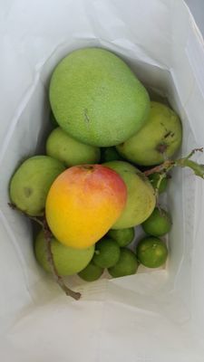 Alphonso Telangana