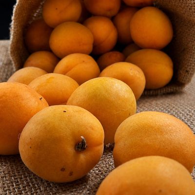 Fresh Halman Ladakh apricots arranged on rustic jute, showcasing their warm golden-orange colour and smooth natural skin.