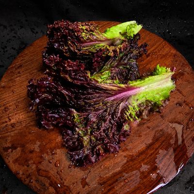 Fresh organic red lettuce with vibrant burgundy leaves, crisp texture and a mild flavour, perfect for salads, wraps and bowls