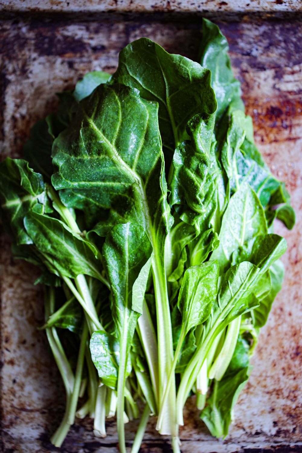 Fresh Organic Swiss Chard Online Home Delivery Sanesa Yourganic