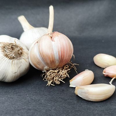Fresh Organic Himalayan Garlic Online Home Delivery Sanesa Yourganic