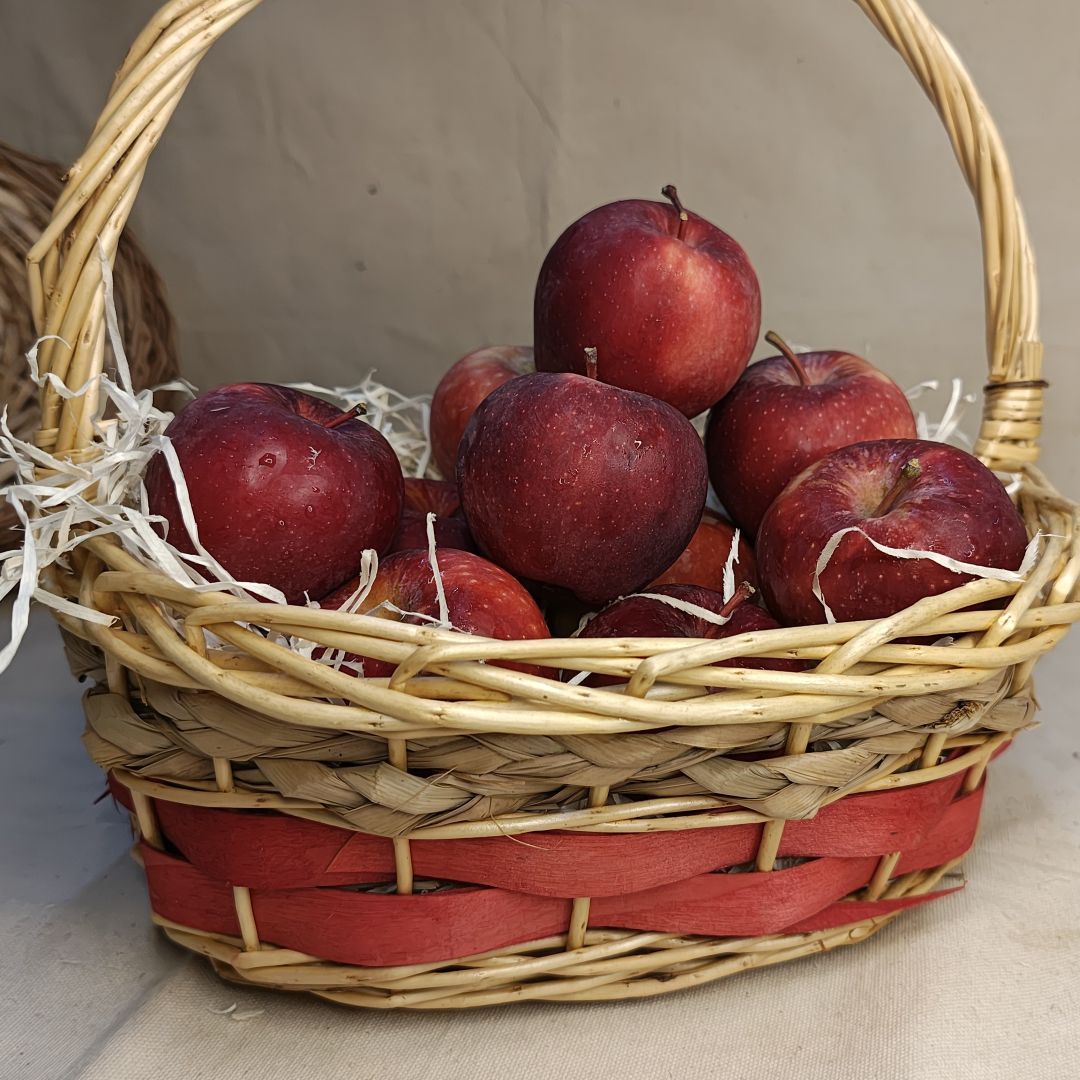 Basket of certified organic Kinnaur Richared apples showing their rich red skin and natural variations in colour and texture.