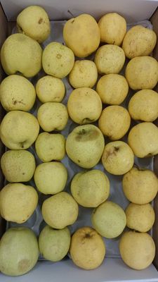 Apple Golden Low Grade