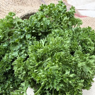 Parsley Curly
