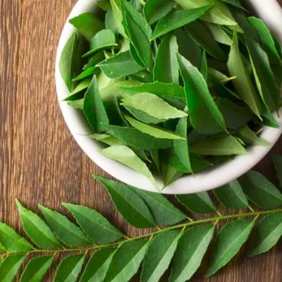 Fresh Organic Curry Leaves Green Online Home Delivery Sanesa Yourganic