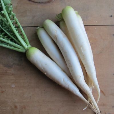 Fresh Organic Mooli Online Home Delivery Sanesa Yourganic