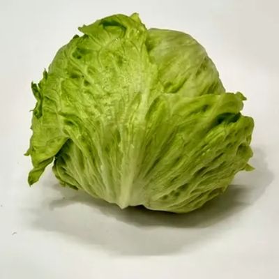 Fresh Organic Lettuce Online Home Delivery Sanesa Yourganic