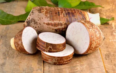 Fresh Organic Arbi Online Home Delivery Sanesa Yourganic
