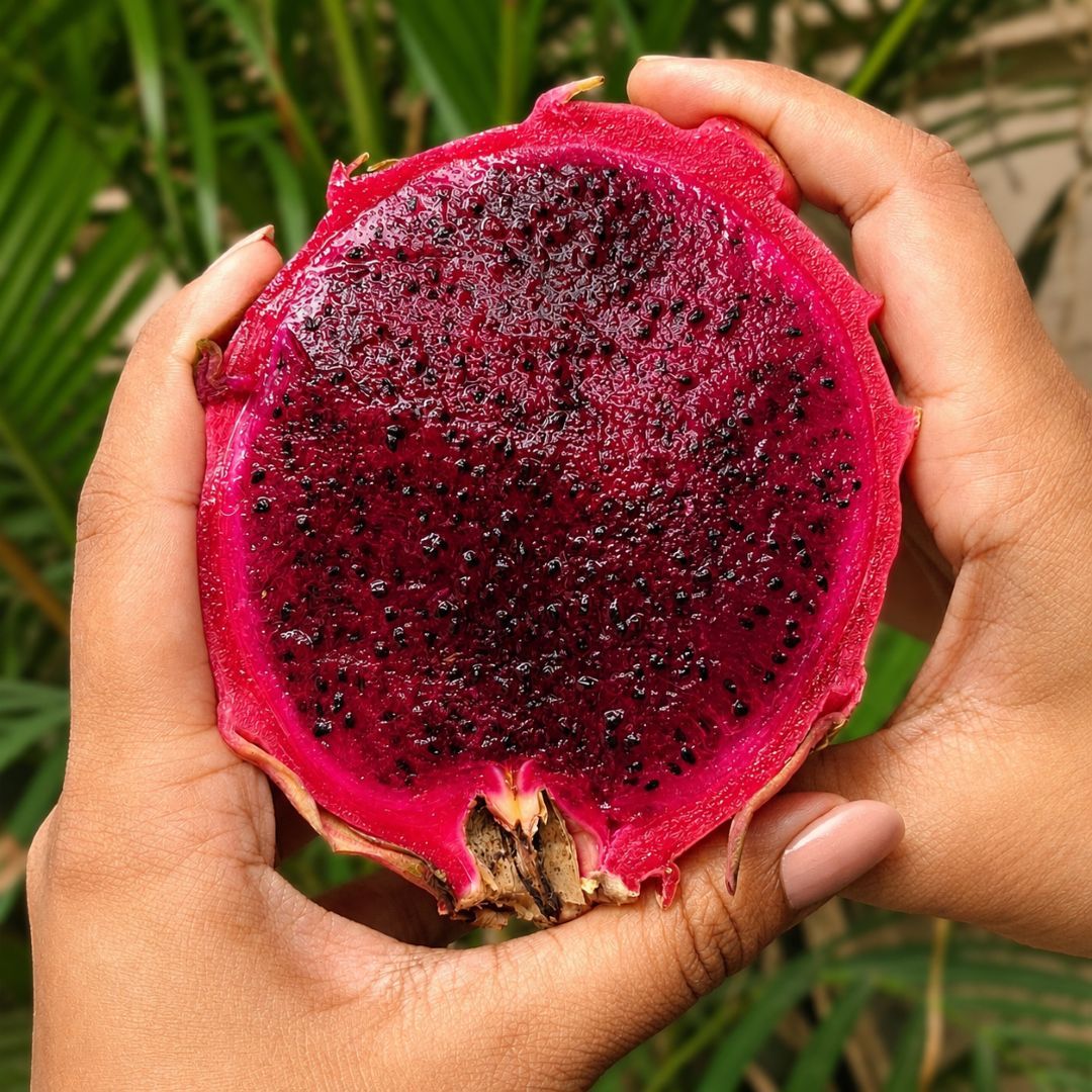 Dragon Fruit Red
