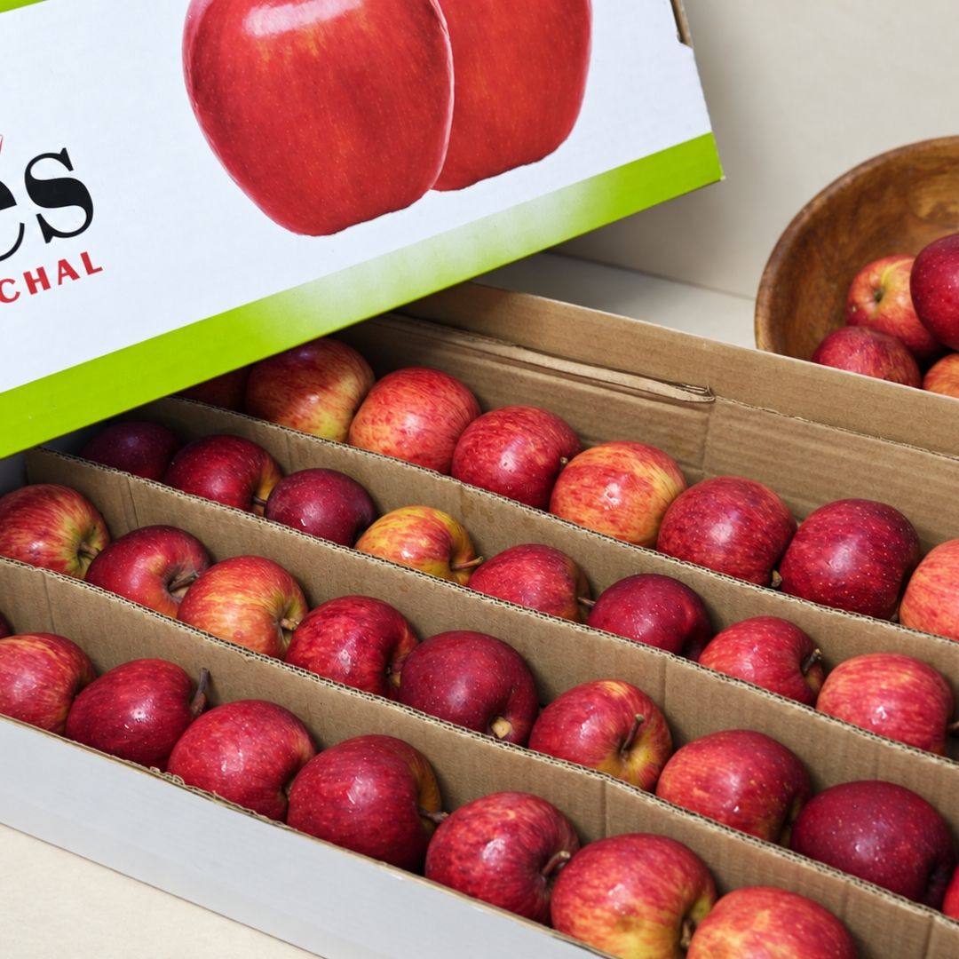 Organic Spur Apple Weekly Box for Family with crisp, orchard-fresh Himachal apples for healthy daily snacking.