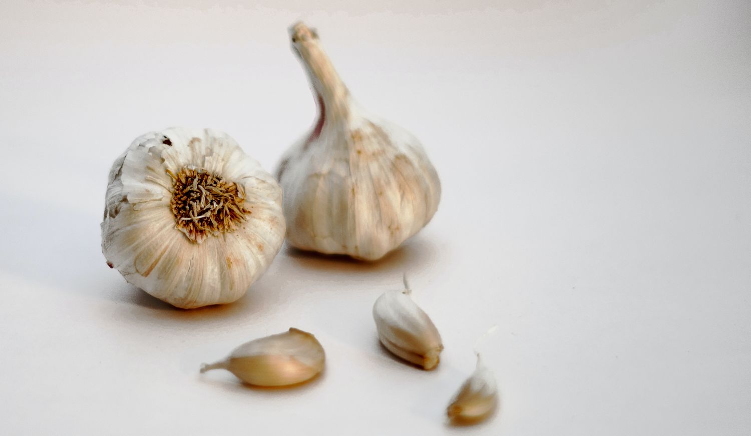 Fresh Organic Garlic Online Home Delivery Sanesa Yourganic
