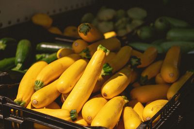 Fresh Organic Zucchini Yellow Online Home Delivery Sanesa Yourganic