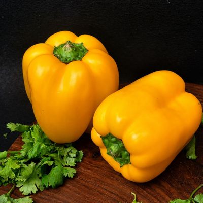Organic yellow bell pepper (yellow capsicum), fresh yellow Shimla mirch, from Sanesa organic grocery store.