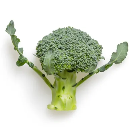 Fresh Organic Broccoli