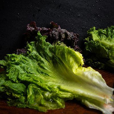 Fresh organic green leaf lettuce with crisp, tender leaves and a refreshing crunch, ideal for salads, wraps and meals.