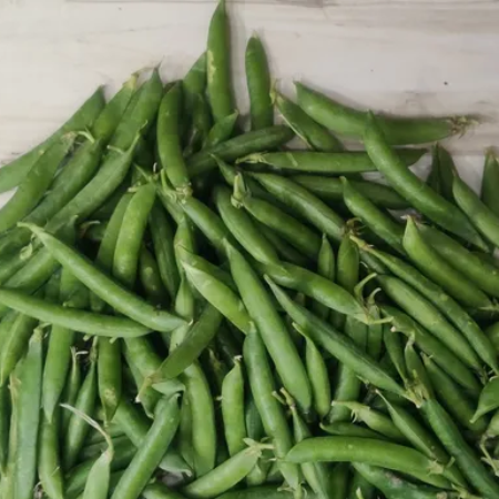 Fresh Organic Peas Green Matar Online Home Delivery Sanesa Yourganic