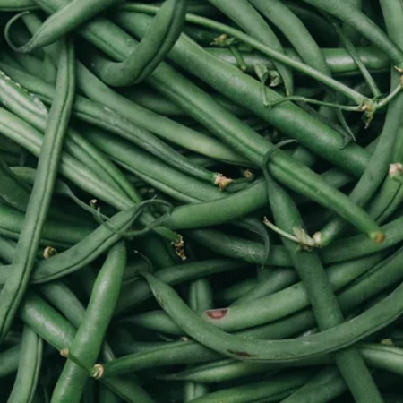 Organic French Beans 
