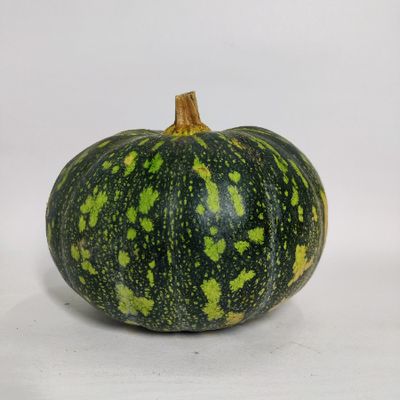 Fresh Organic Pumpkin Green Online Home Delivery Sanesa Yourganic