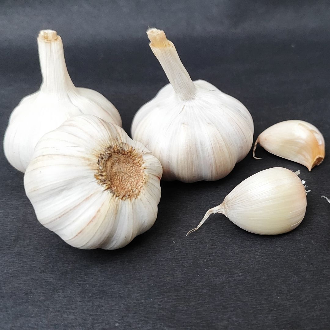 Fresh Organic Garlic Online Home Delivery Sanesa Yourganic