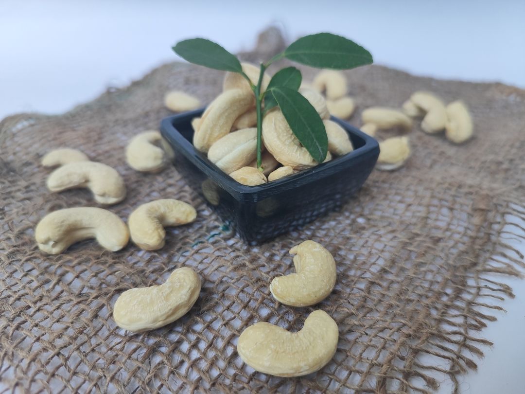 Cashew Jumbo W180