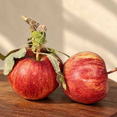 Two organic Ladakh Royal Delicious Apples with red-streaked skin and a leafy branch, resting on a wooden table.