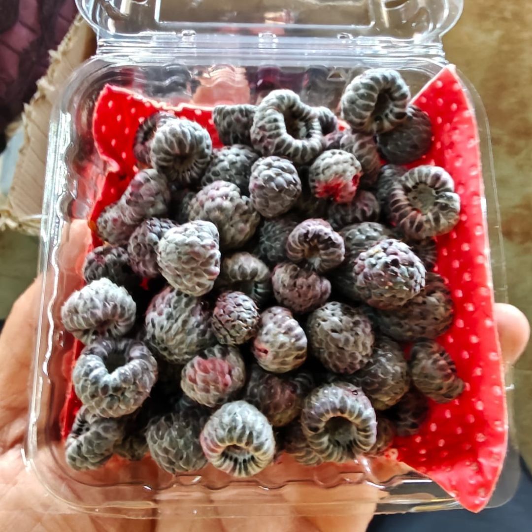 Raspberry Black ~120g