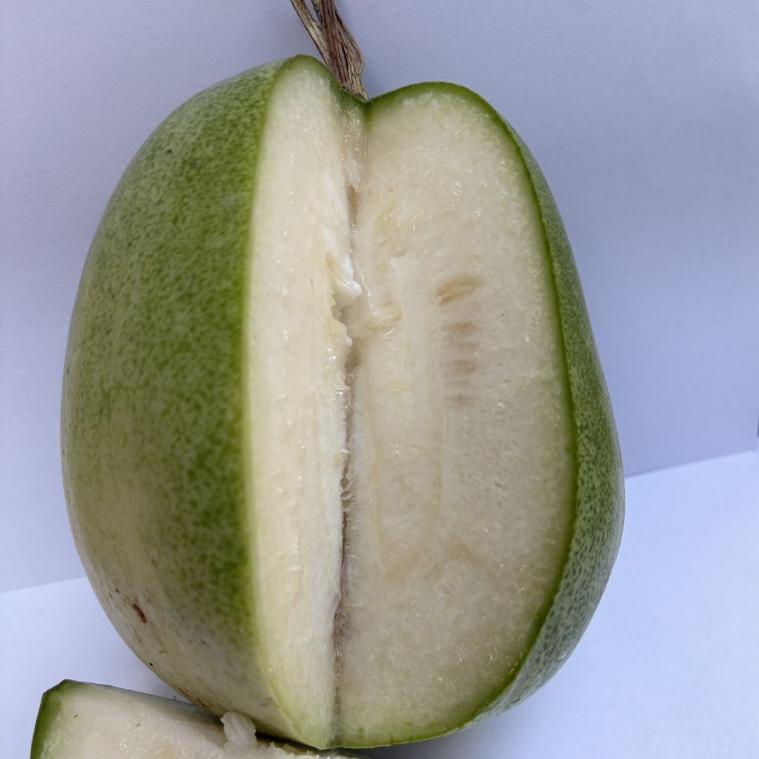 Ash Gourd (Safed Petha, Baby)