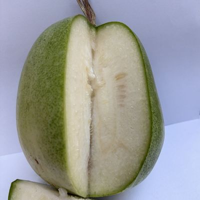 Ash Gourd (Safed Petha, Baby)