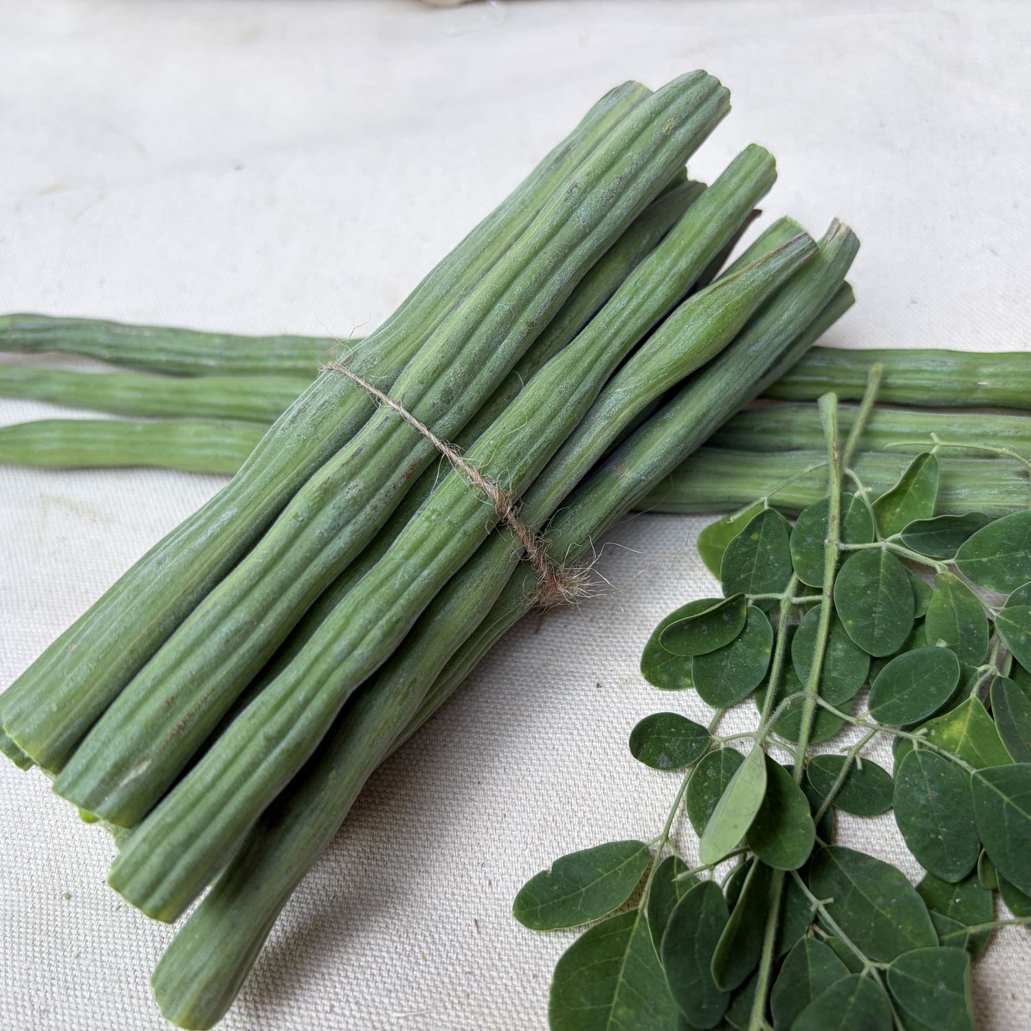Fresh organic drumsticks (sahjan / moringa pods) – long, tender green pods for cooking