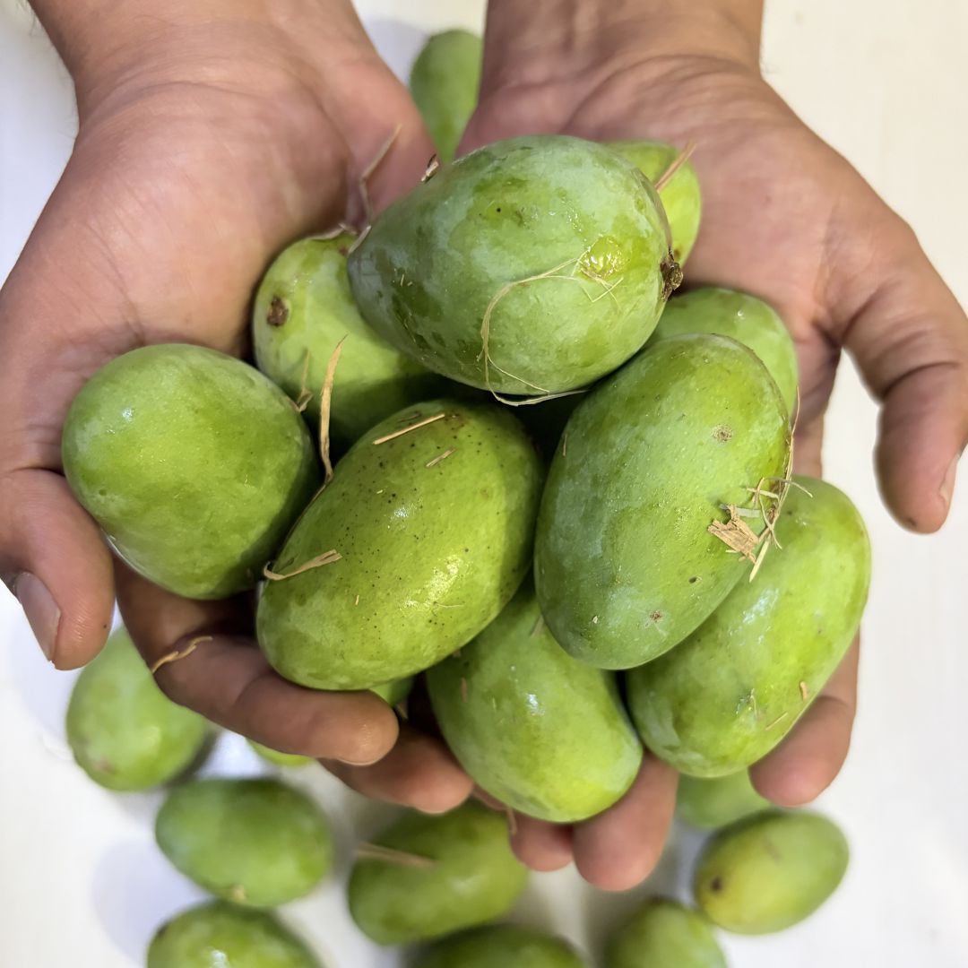 Mango For Pickle