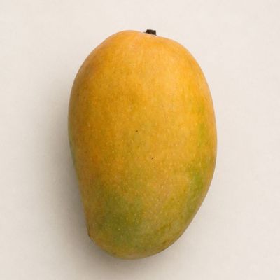 Kesar Mango Super Premium
