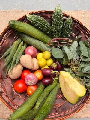 Summer Veggies Weekly Basket