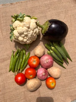 Bhindi Bharta Alu Gobhi Matar Basket for 3 days