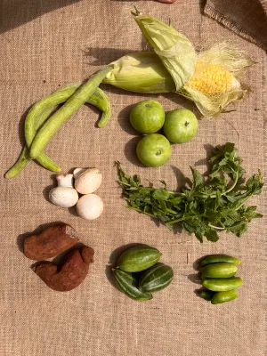 Light Fried Summer Joys Basket