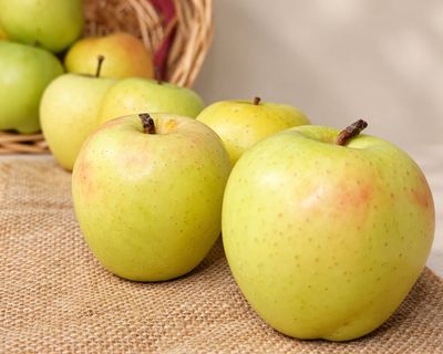 Golden apples from an organic Kinnaur orchard arranged on burlap beside a basket, showing pale yellow skin with a rosy blush.