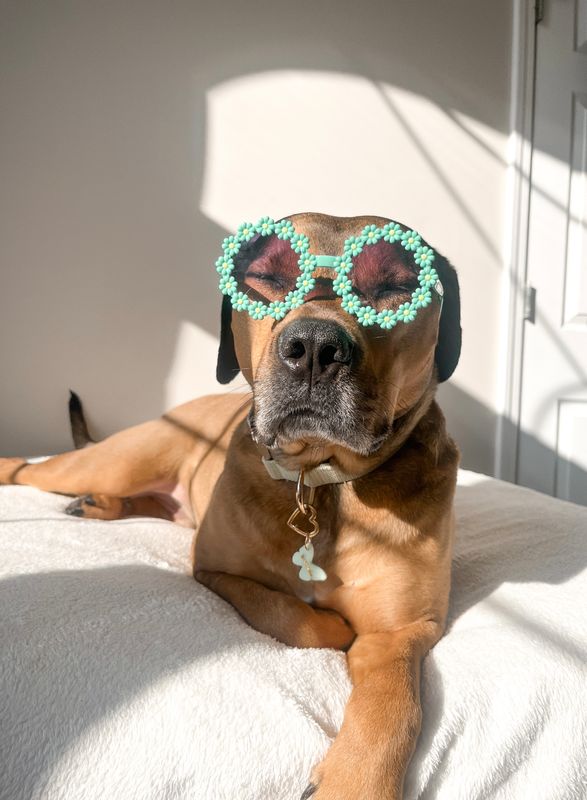 Teal Daisy Sunnies