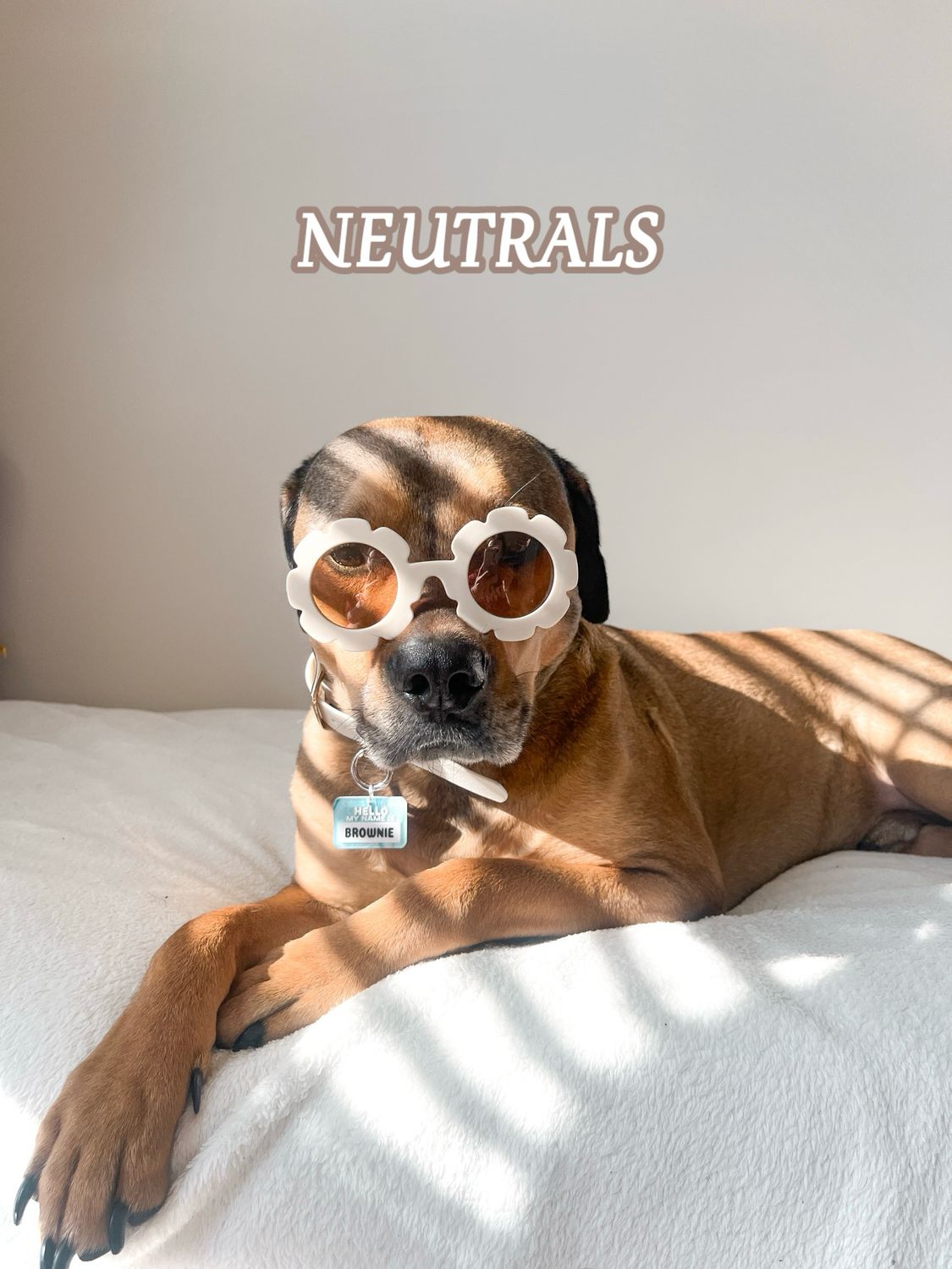 Neutrals