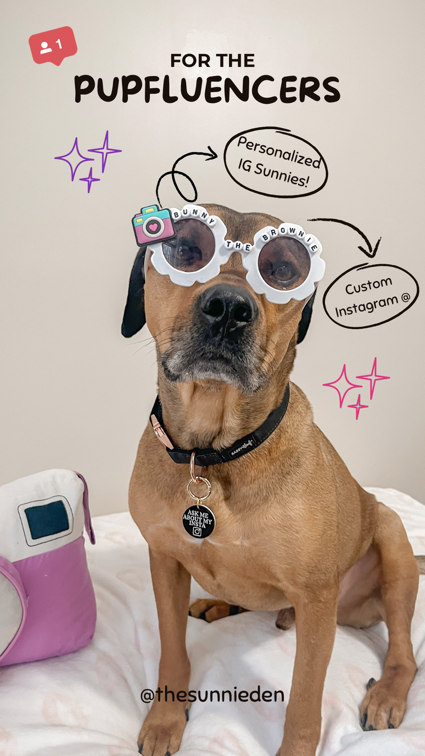 Pupfluencer