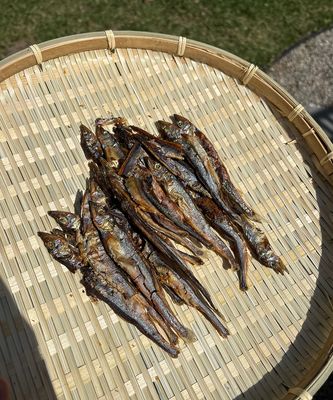 Fish Chips: Single-Ingredient, Dehydrated Capelin Fish [10pcs]