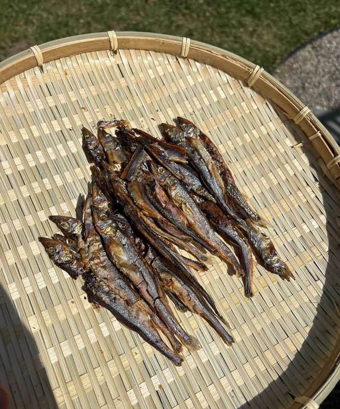 Fish Chips: Single-Ingredient, Dehydrated Capelin Fish [10pcs]