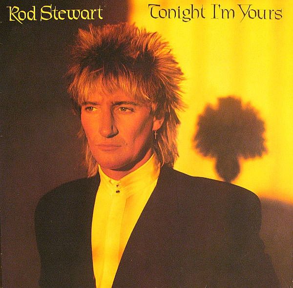 Rod Stewart – Tonight I&#39;m Yours (VG, 1981, LP, Warner Bros. Records – XBS 3602)