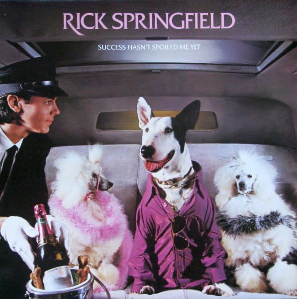Rick Springfield ‎– Success Hasn't Spoiled Me Yet  (VG+, 1982, LP, RCA Victor – AFL1-4125)
