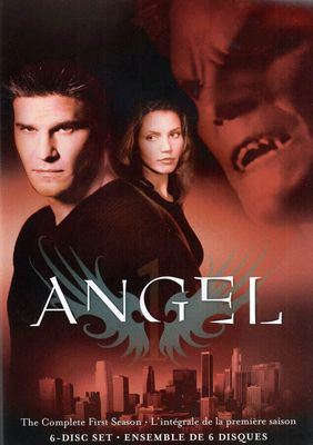 Angel: The Complete First Season [6 Discs] (1999)(DVD)