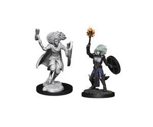 D&amp;D Nolzur's Marvelous Miniatures: Changeling Cleric