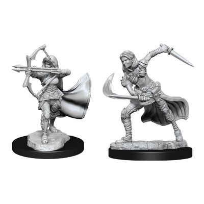 Nolzur's Marvelous Miniatures:  Air Genasi