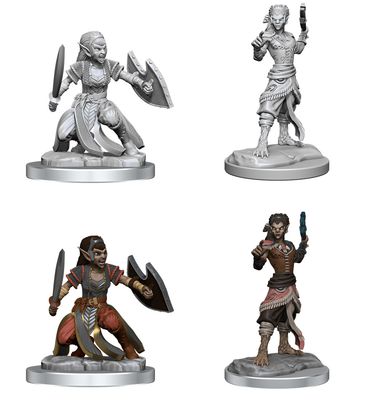 Nolzur's Marvelous Miniatures:  Shifter Fighter