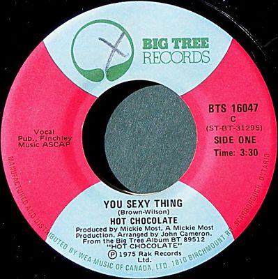 Hot Chocolate – You Sexy Thing / Amazing Skin Song (VG, 1975, 7", 45 RPM, Single, Big Tree Records – BTS 16047)