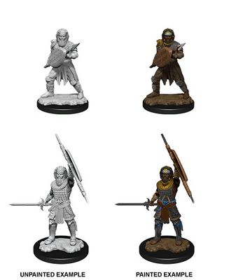 D&amp;D Nolzur's Marvelous Miniatures: Human Fighter